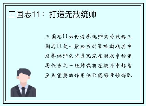 三国志11：打造无敌统帅